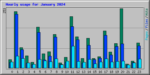 Hourly usage for January 2024