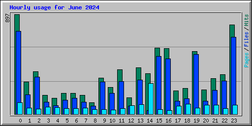 Hourly usage for June 2024