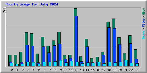 Hourly usage for July 2024