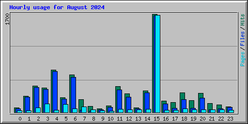 Hourly usage for August 2024