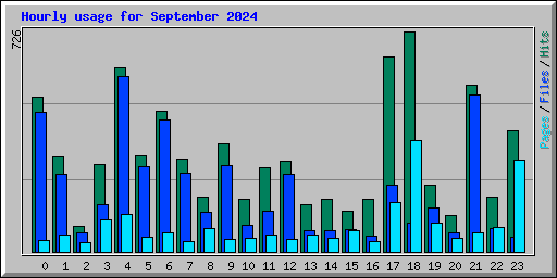 Hourly usage for September 2024