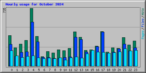 Hourly usage for October 2024