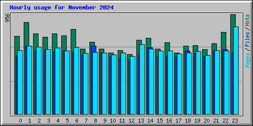 Hourly usage for November 2024