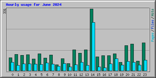 Hourly usage for June 2024